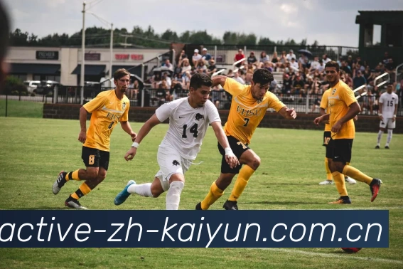 2026世界杯